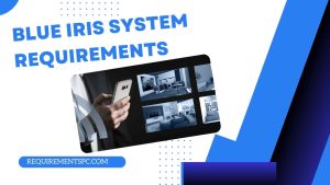 Read more about the article Blue Iris System Requirements